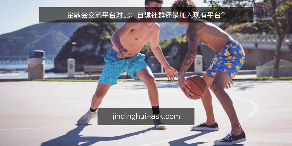 金鼎会交流平台对比:自建社群还是加入现有平台? — 为什么现在需要审计人脉拓展方式 配图