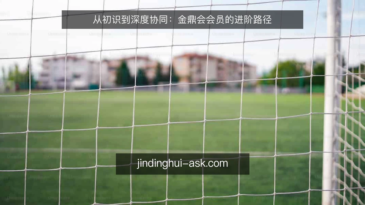从初识到深度协同:金鼎会会员的进阶路径